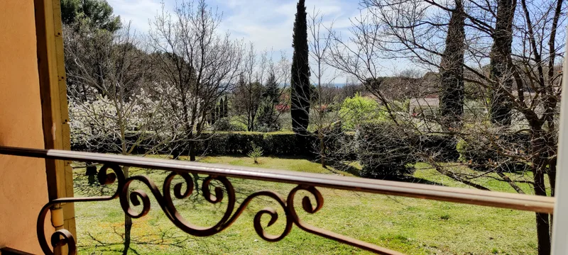Balustrade en fer forgé de la terrasse donnant sur le jardin arboré