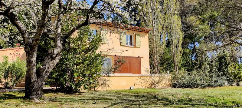 Grand olivier devant la façade du cottage et sa terrasse